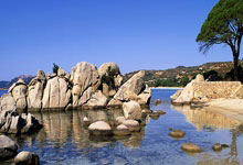 爱游戏娱乐-德国队绝杀泰国队，李梓嘉带队取胜