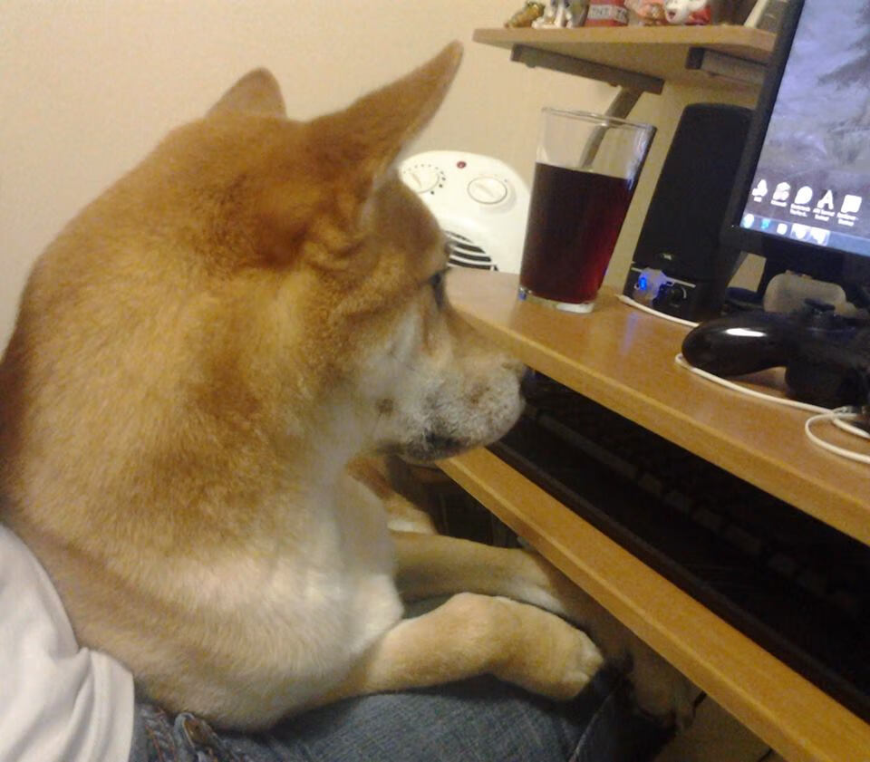 独木擎天，佩雷兹鏖战雷诺围城，以孤勇改写索伯命运