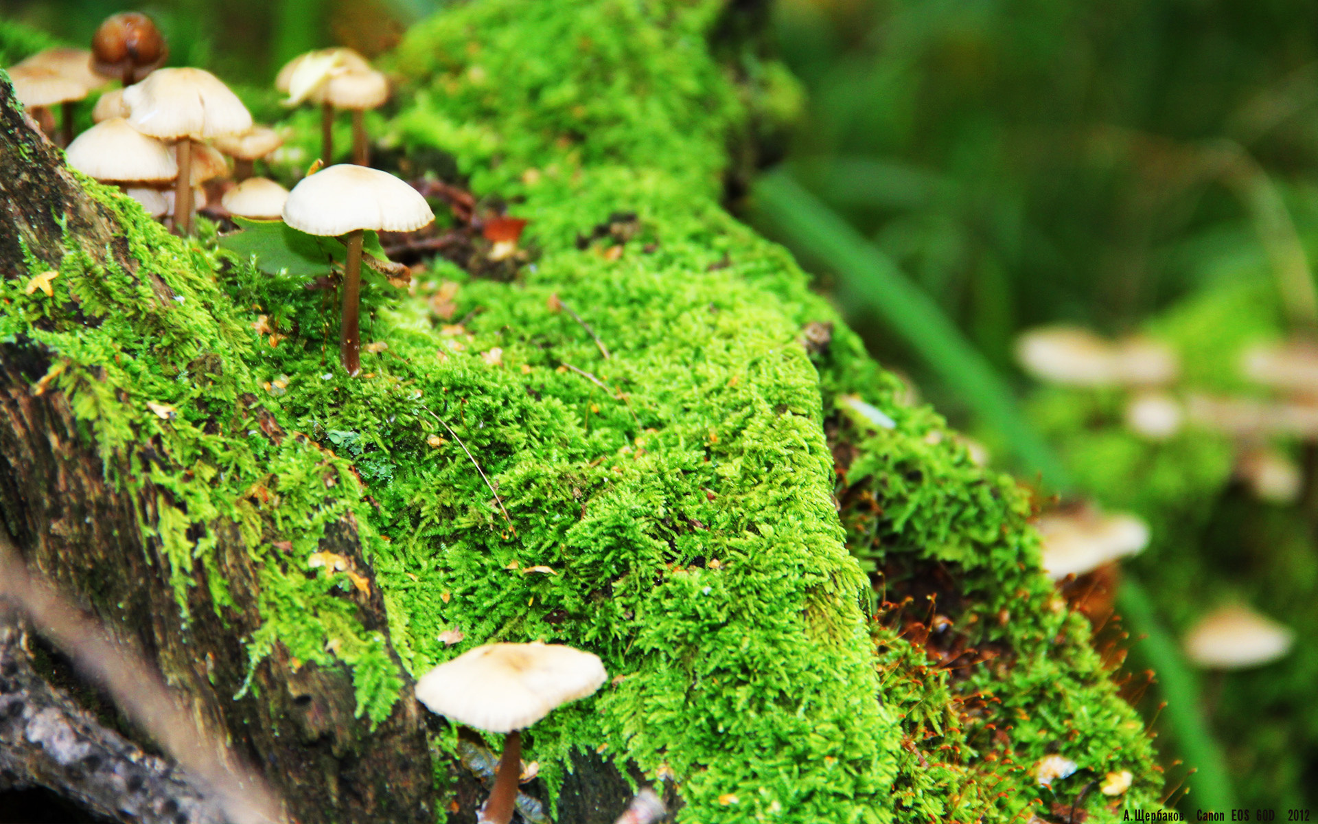 爱游戏下载-冰冷射手终结迈阿密烈焰，新王切特于无声处听惊雷