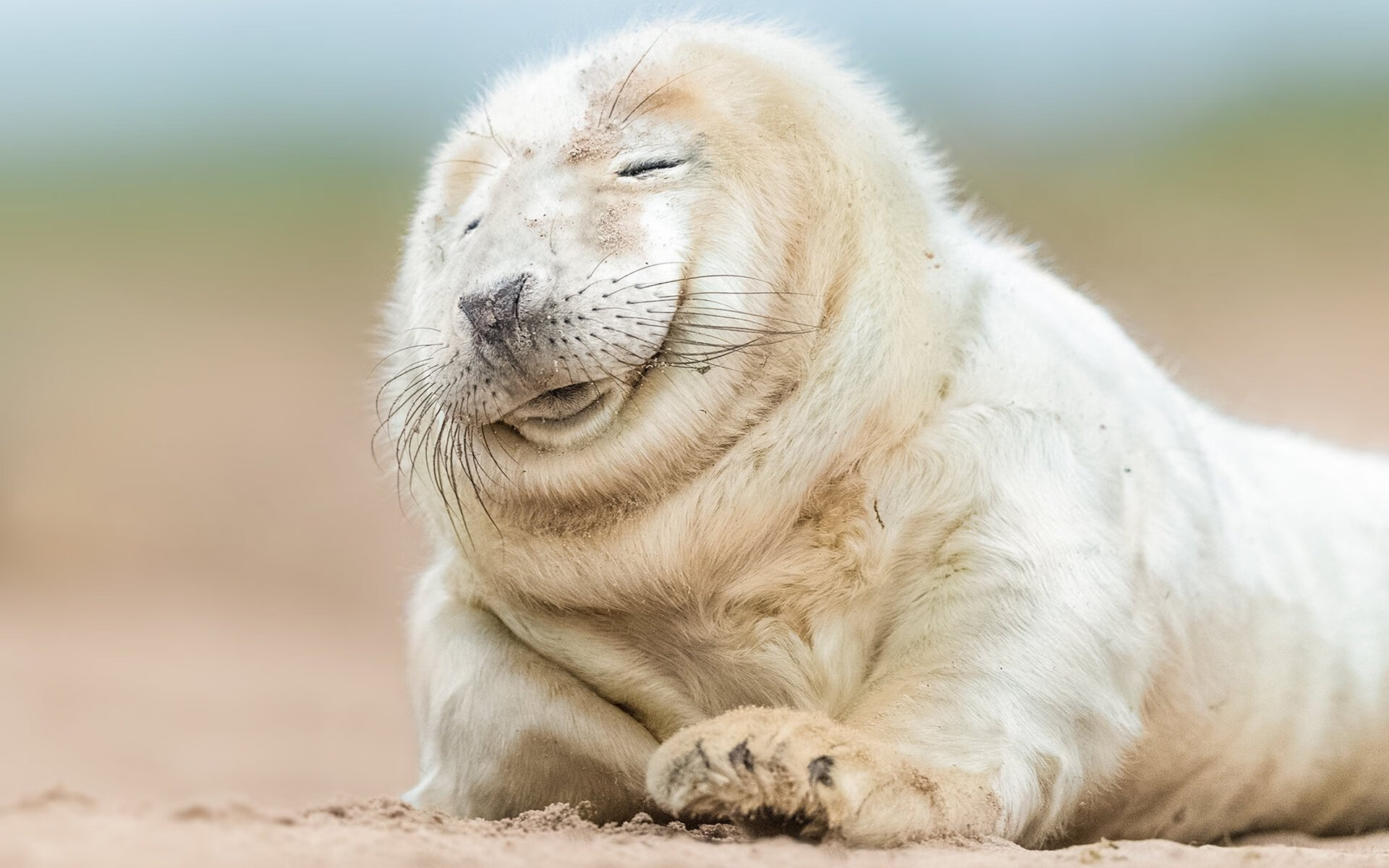 小城铁骑踏碎爵代，当约基奇预言2026的篮球新秩序