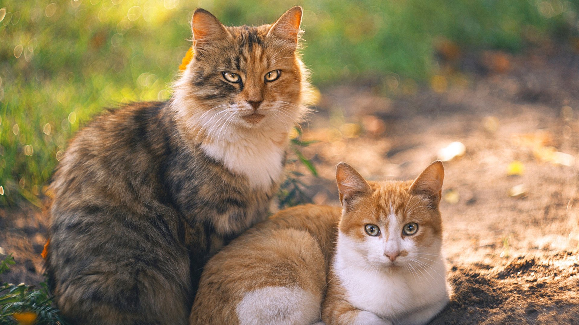 爱游戏tv-非卖品之夜，那个被质疑的乔治，投出了湖人最珍贵的一球
