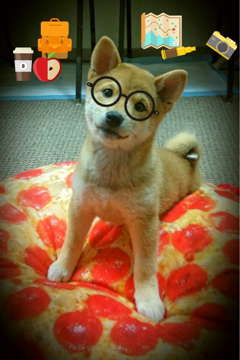 跨洋爆冷！广东队强行终结湖人，西亚卡姆成关键先生