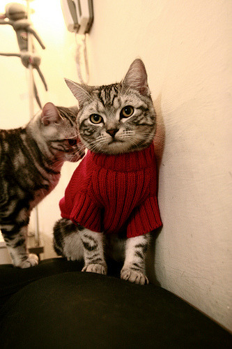 爱游戏APP-五棵松最后一秒的犹疑