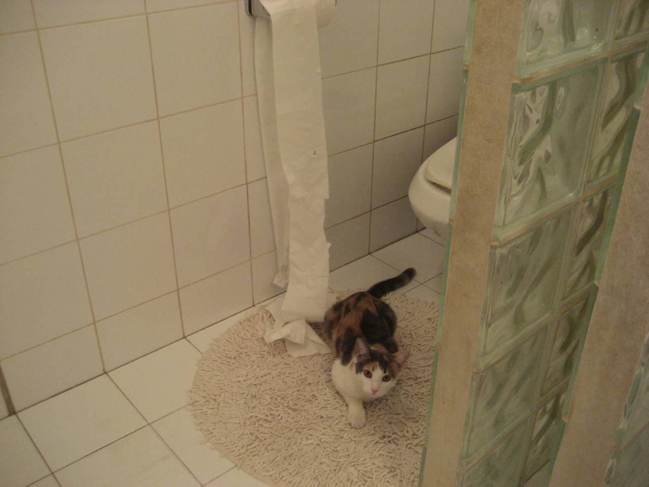 南非掀翻亚特兰大，罗德里抢七接管，所有掀翻的背后，都是旧秩序的黄昏