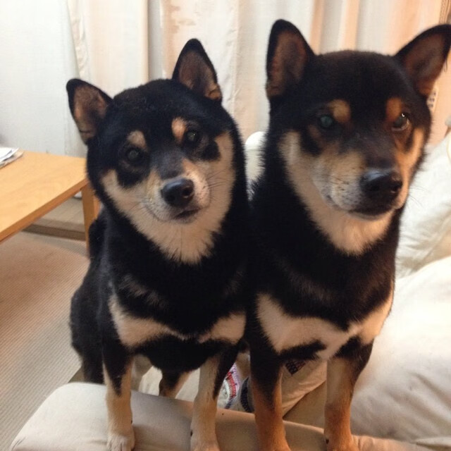 冰封爵士与烈焰接管，当防守艺术遇见进攻天赋