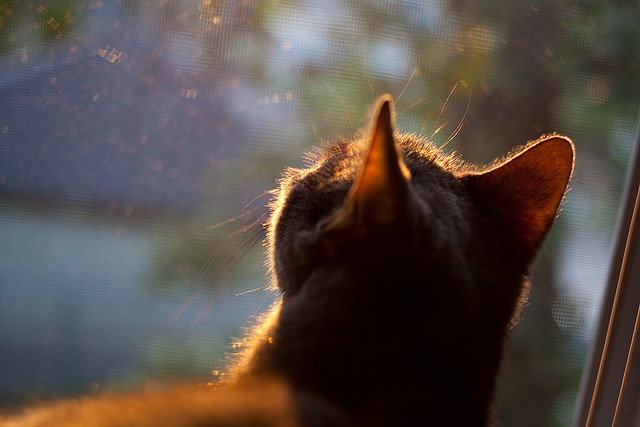 铁血之师粉碎宇宙队，克罗地亚联队如何改写欧冠历史