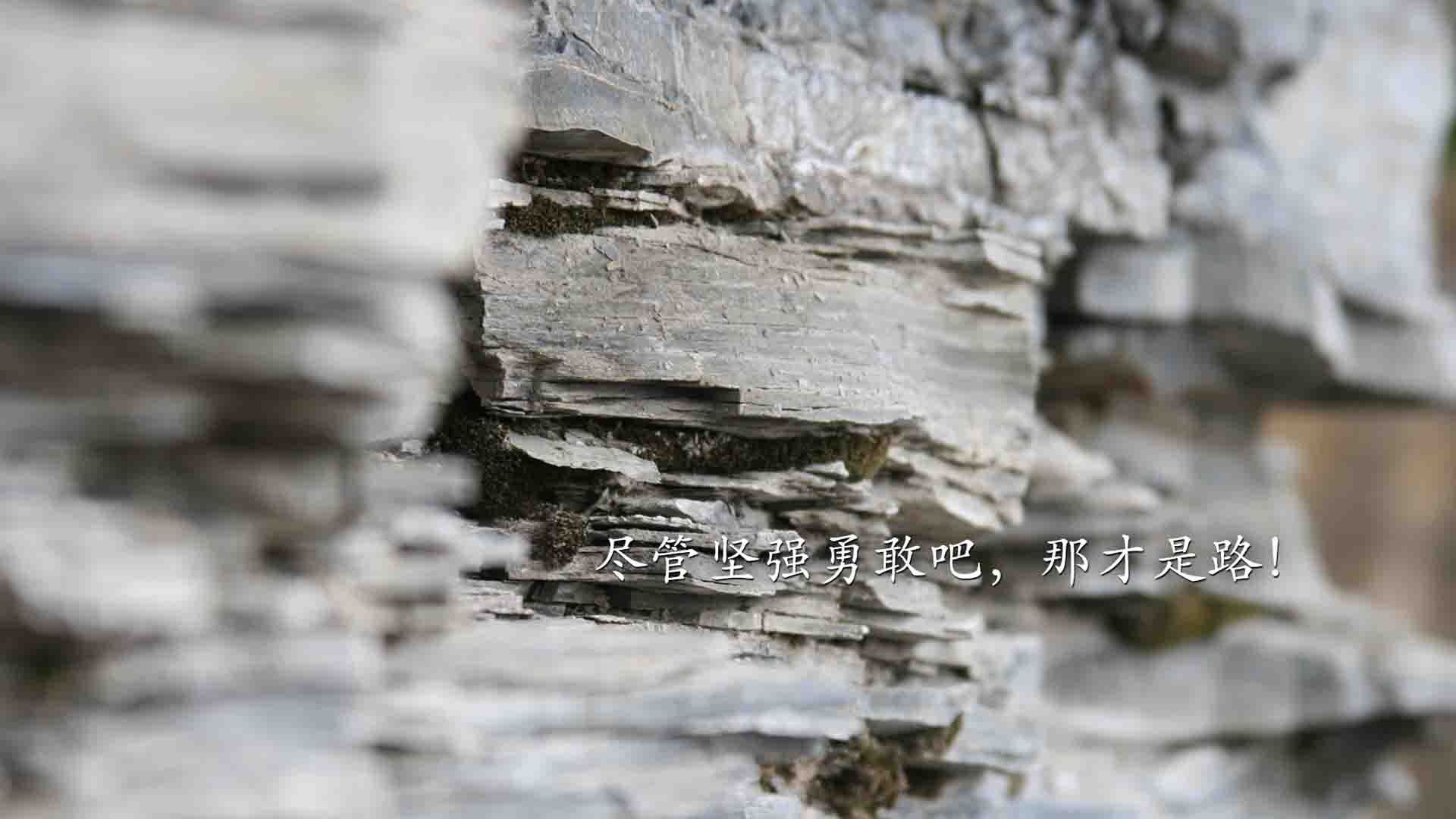 爱游戏官方入口-国王血洗山西！保罗炸裂全场赢战犯级评分，这真是一场降维打击？