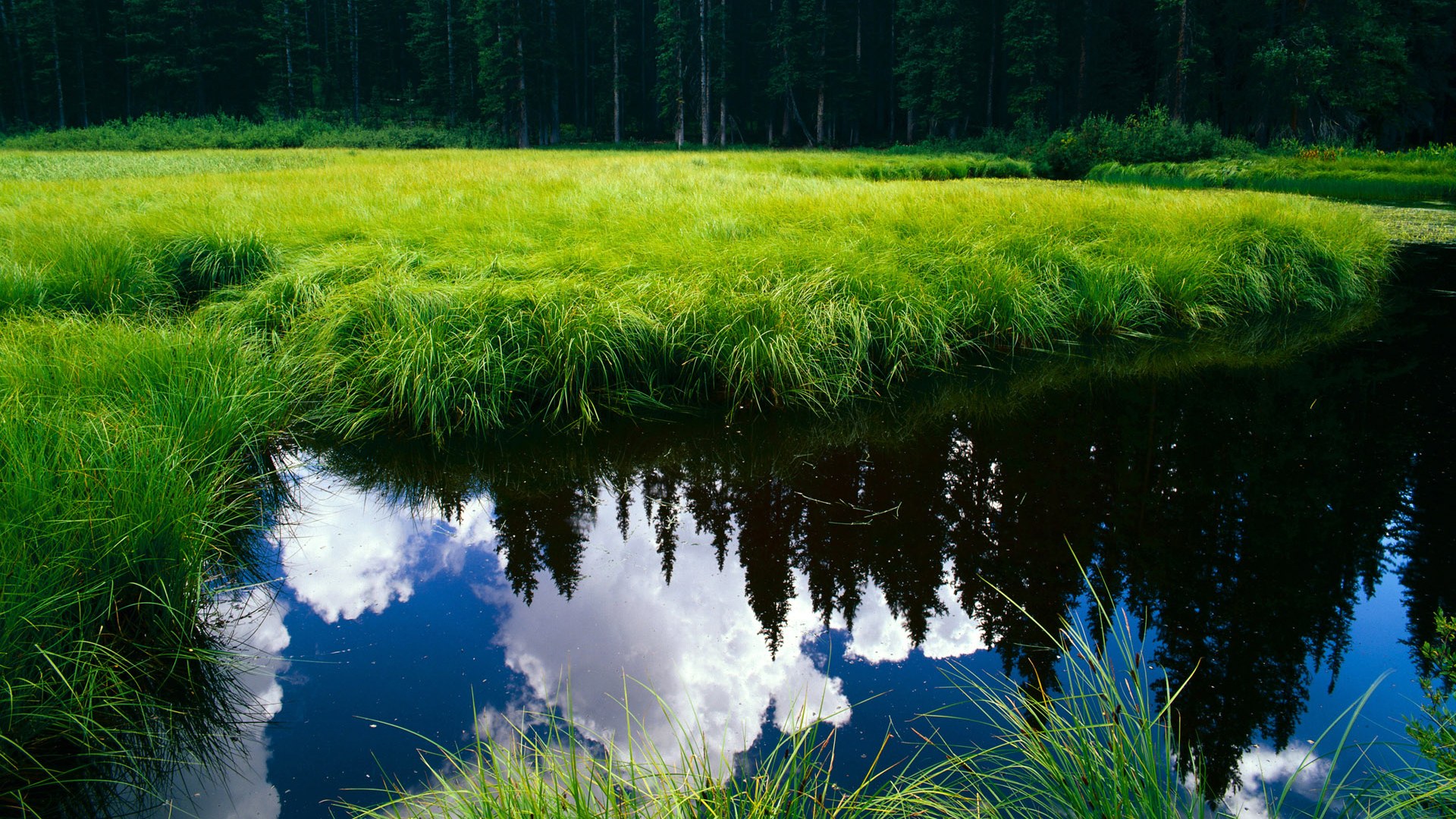 爱游戏-唯一的证词，当绿茵场与篮球场同时响起终场哨音
