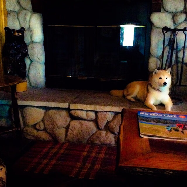 赛道与球场，当哈弗茨的节奏感跨越F1揭幕战的轰鸣