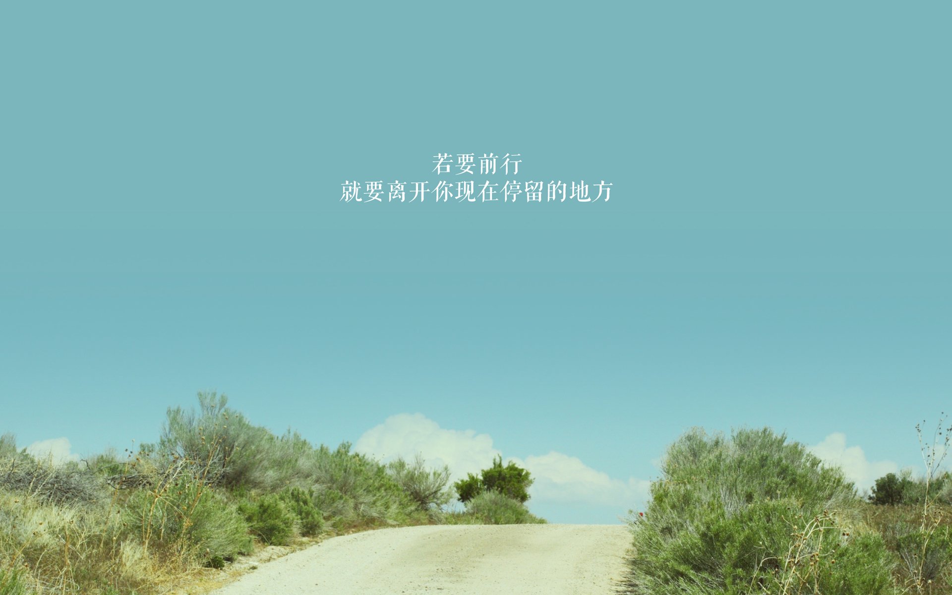范戴克封神夜,当钢铁防线撕裂东欧铁骑,喀麦隆的叹息与波兰的荣光