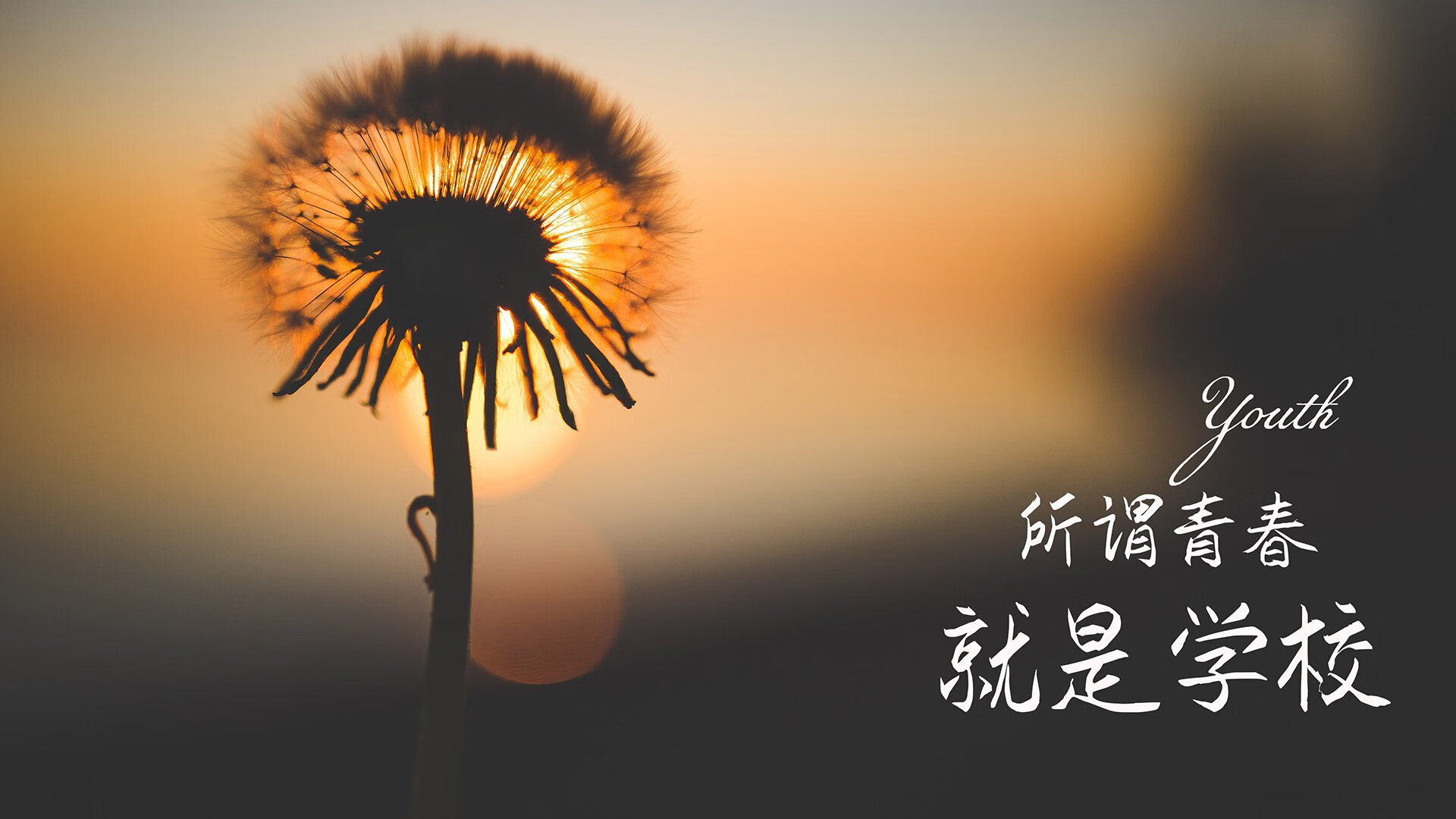 爱游戏娱乐-亚细亚奇迹夜，2026世界杯E组，泰国压哨绝杀葡萄牙，加维独舞难救主
