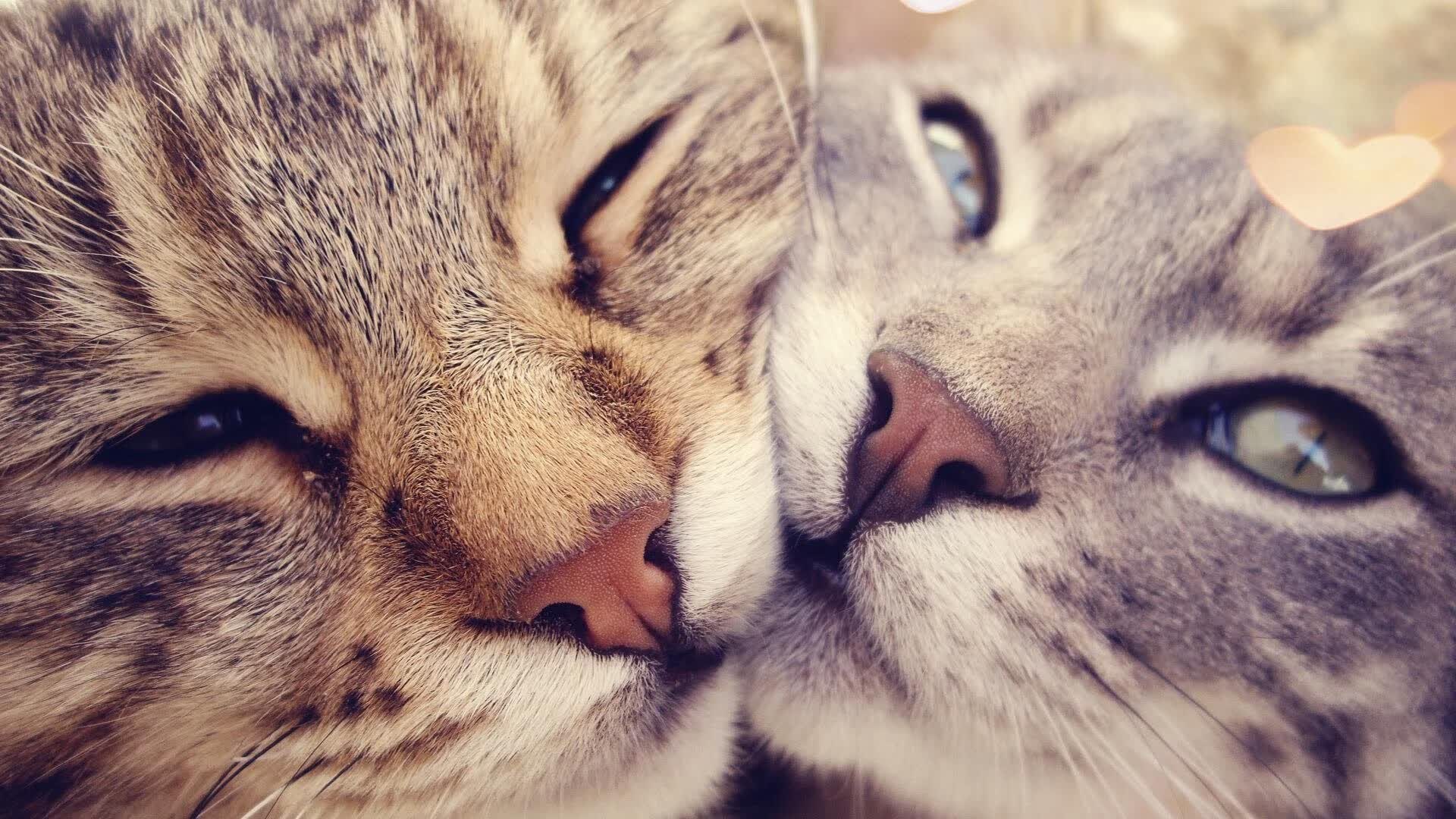 构思
